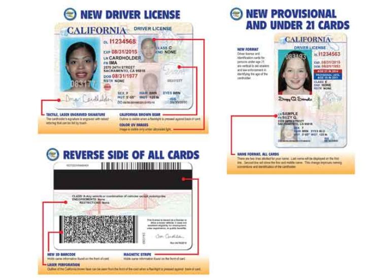 where is the texas drivers license audit number